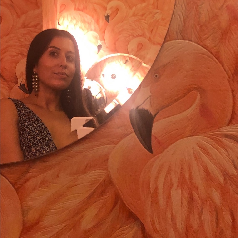 Meet your Posher, Devi